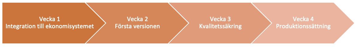 Projektplan Excel till Qlik på 4 veckor